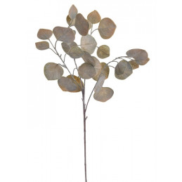 Eukaliptus populus 70 cm - sztuczna roślina