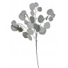 Eukaliptus populus 70 cm - sztuczna roślina