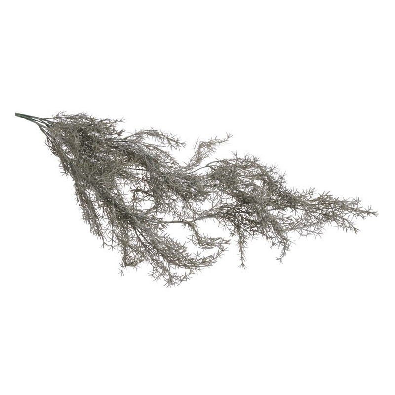 Asparagus zwis 90 cm