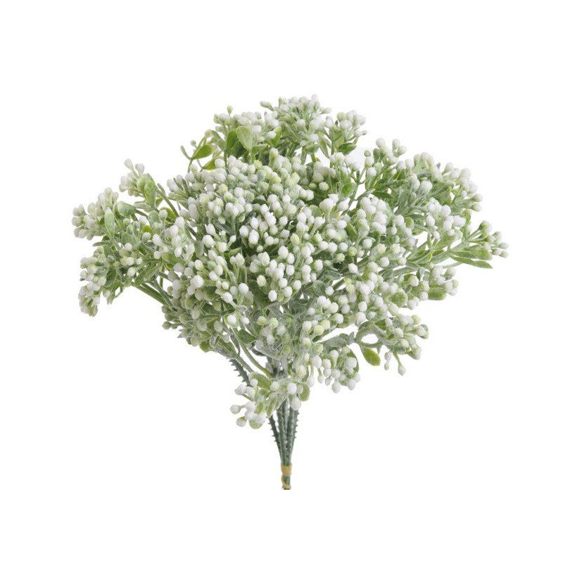 Bylinka krzewinka 6szt/pęczek..23 cm