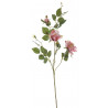 Galazka rozy 75 cm