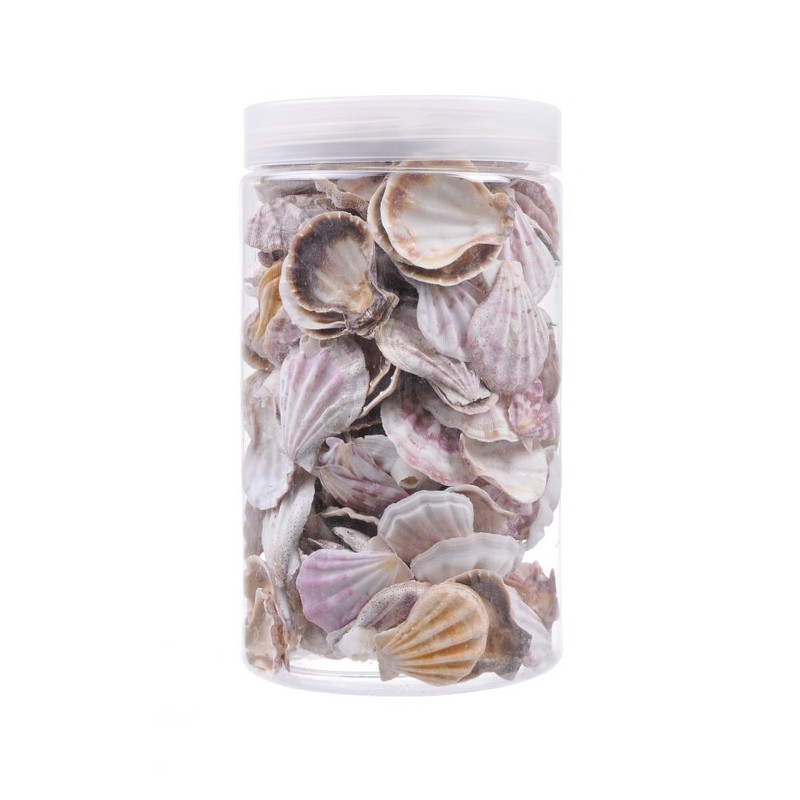 Muszle pojemnik, ± 750g..3,5-4,5 cm