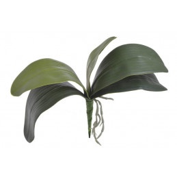 Liście storczyka 36 cm