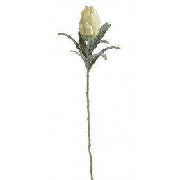 Protea 63 cm - sztuczna protea