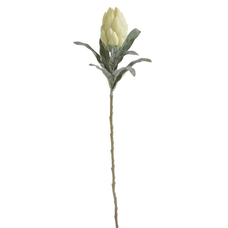 Protea 63 cm - sztuczna protea