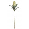 Protea 63 cm - sztuczna protea