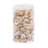 Muszle MIX pojemnik, ± 800g_2,5-6 cm