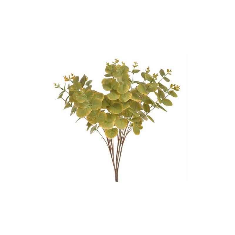 Bukiet eukaliptusa 47 cm