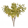 Bukiet eukaliptusa 47 cm