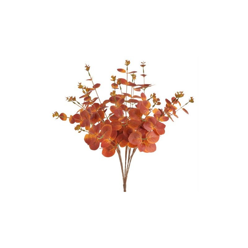 Bukiet eukaliptusa 47 cm