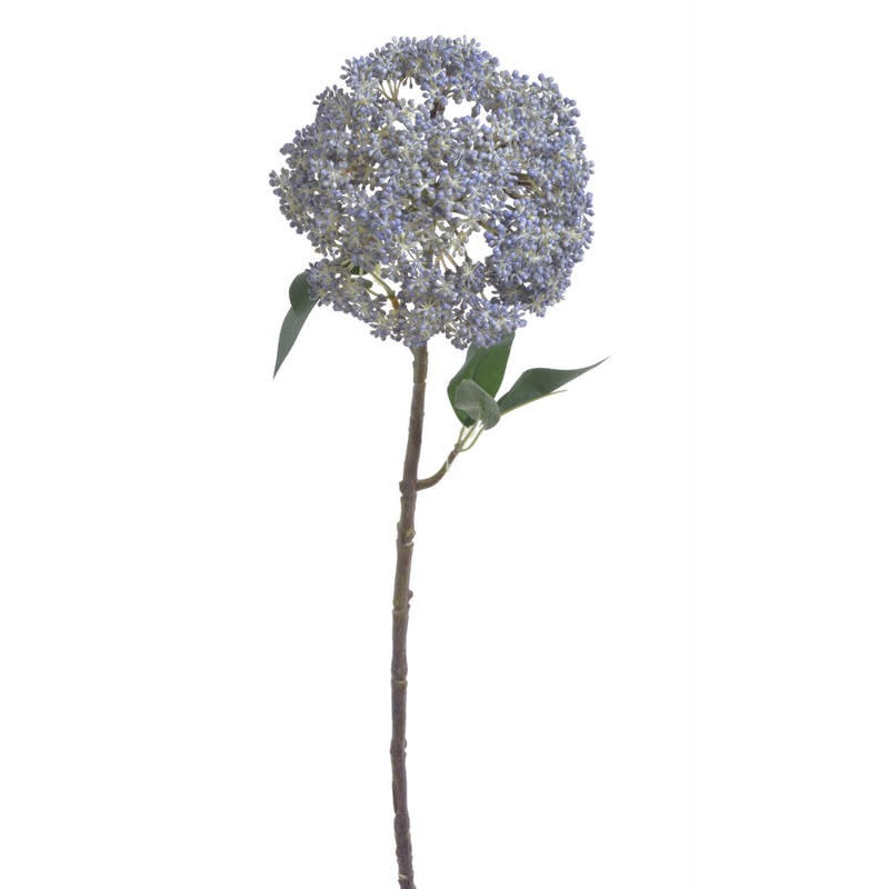 Czosnek duży x1..53 cm