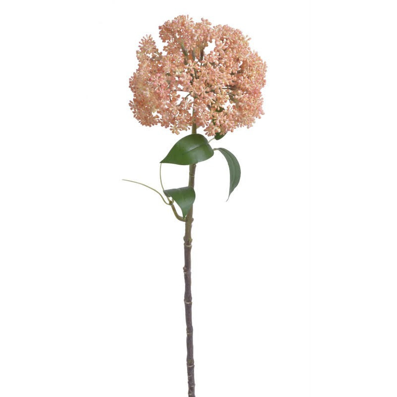 Czosnek duży x1..53 cm