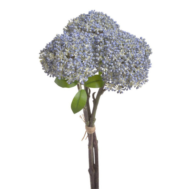 Czosnek x3..28 cm - pęczek/3 sztuki