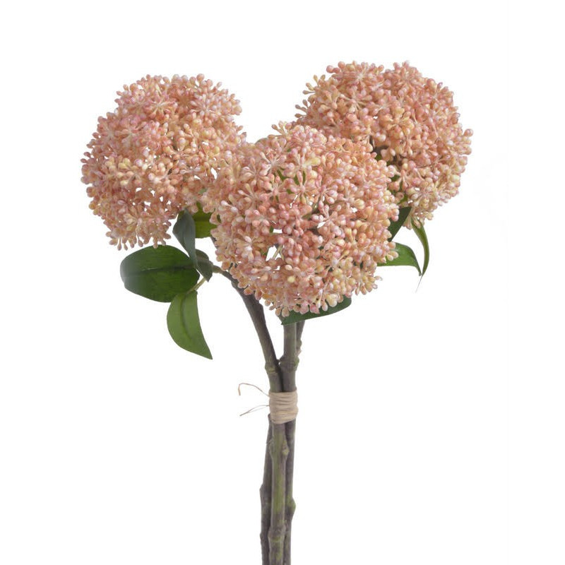 Czosnek x3..28 cm - pęczek/3 sztuki