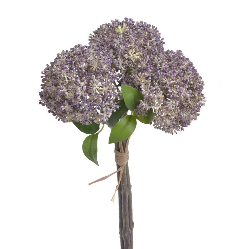 Czosnek x3..28 cm - pęczek/3 sztuki