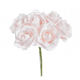 Róża piankowa x6..25 cm