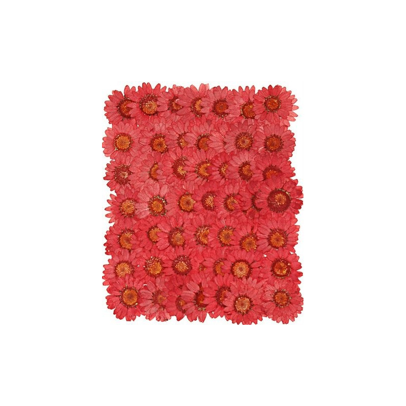 Prasowane kwiatki 4-5 cm - produkt naturalny