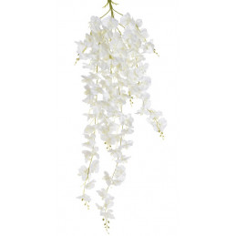 Płacząca orchidea..135 cm