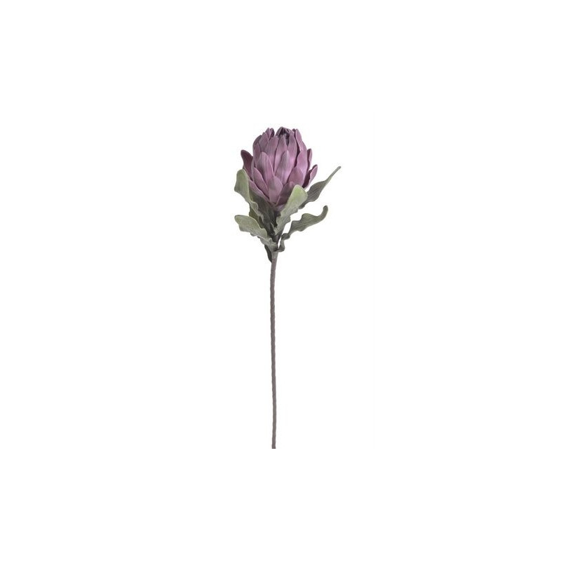 Protea 90cm - kwiat piankowy
