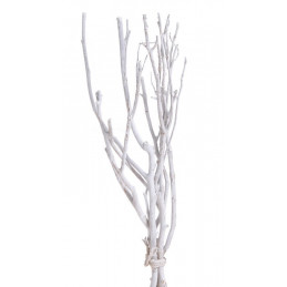 Gałęzie drzewa herbacianego W Extra 45 cm, 3szt/paczka