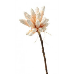 Swelled bunch on stick 85 cm - kwiat piankowy