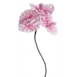 Kankan 95 cm- kwiat piankowy