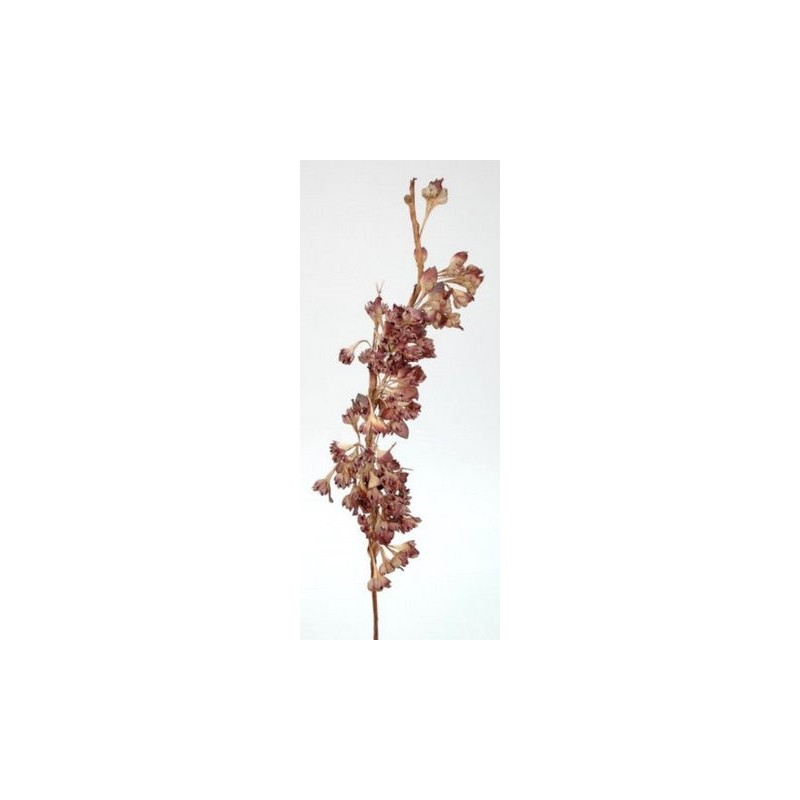 Tangorośl ( dużo kwiatów ) h120 cm - wyrób piankowy