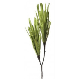 Dlugolisciak 135 cm - wyrób piankowy