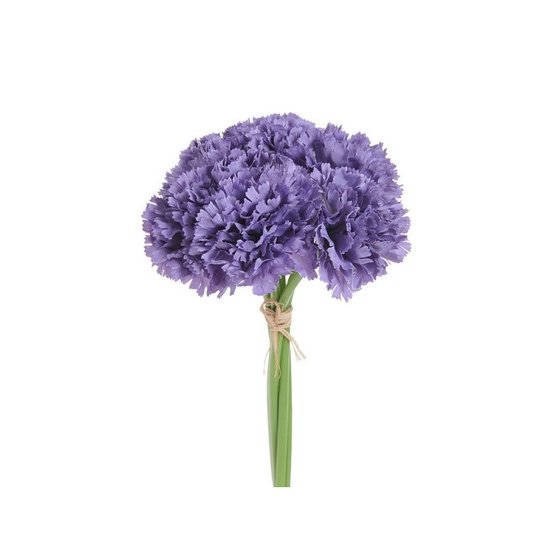 Goździk bukiet x6, 23 cm