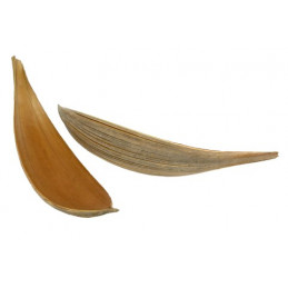 Coco shell medium KG - susz