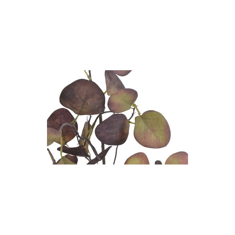 Eukaliptus populus 70 cm - sztuczna roślina