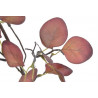 Eukaliptus populus 70 cm - sztuczna roślina