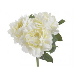 Bukiet piwonii x3 31cm
