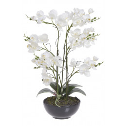 Storczyk w doniczce x3, 52 cm - sztuczna roślina