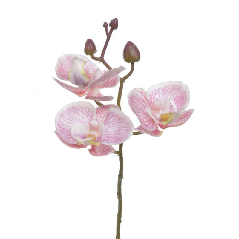 Storczyk x3 20 cm - sztuczna roślina