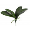 Liście storczyka..30 cm - sztuczna roslina