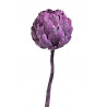 Artichoke bud orange 25-35 cm - suszona roślina