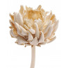 Artichoke flower small wybielany 15-25 cm - susz roślinny