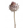 Cynara flower medium stonewashed..25-35cm - susz dekoracyjny