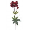 Ciemiernik 1+1 62 cm - sztuczna roslina