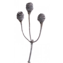 Platyspernum 3 stone washed 40-50 cm ( 3 szt/pacz) - susz