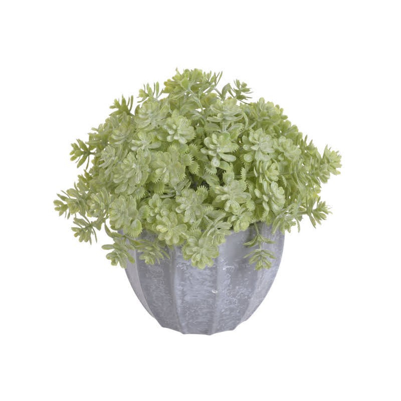 Mini sukulenty w doniczce..15 cm - sztuczna roślina