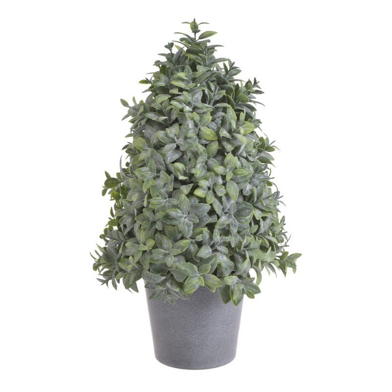 Choineczka z bukszpanu w doniczce..33cm - artykuł dekoracyjny