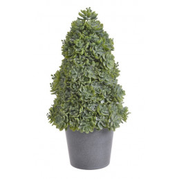 Choineczka z sukulentów w doniczce..33cm - artykuł dekoracyjny