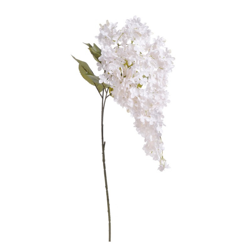 Hortensja bukietowa x2 120 cm