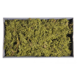 GREY MOSS 500g GREEN 48x28x10cm - susz dekoracyjny