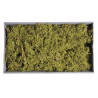 Green MOSS 500g green preserved..48x28x10cm - susz dekoracyjny