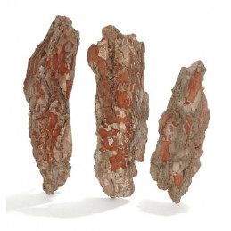 Kora bark small-maritima shors small..25-35cm 120 ok. szt-box