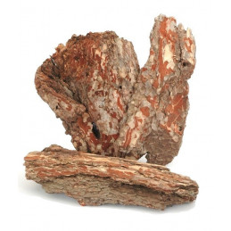 Kora bark large-maritima shors..35-40cm ok. 45 szt-box