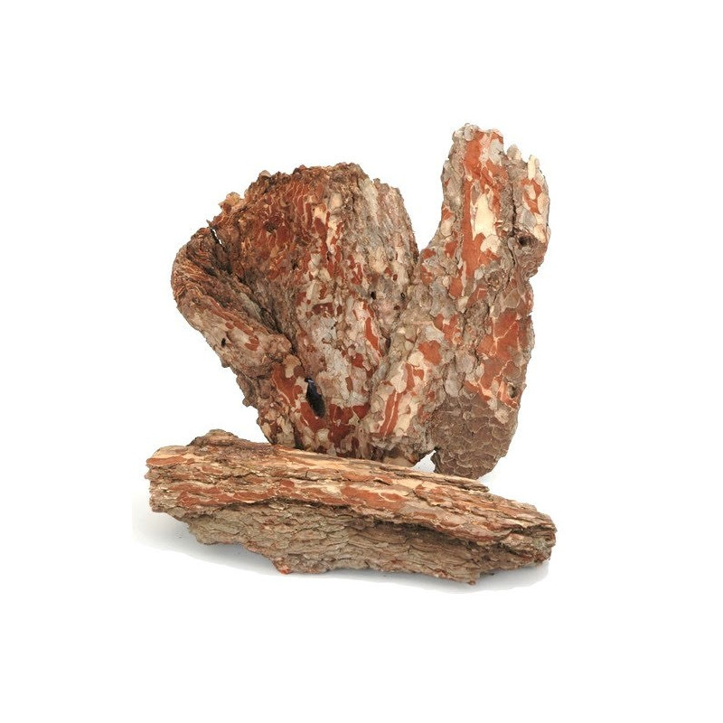 Kora bark large-maritima shors..35-40cm ok. 45 szt-box